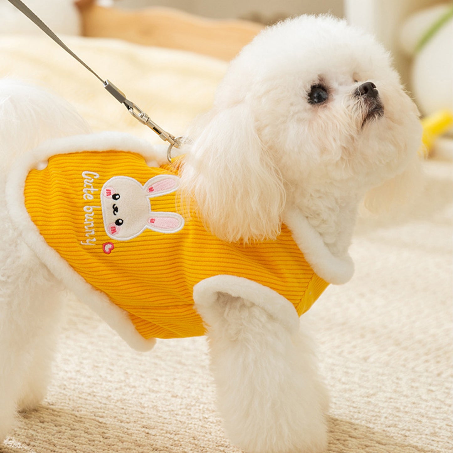 Corduroy Cartoon Pet Coat For Small Dog, XS-XL