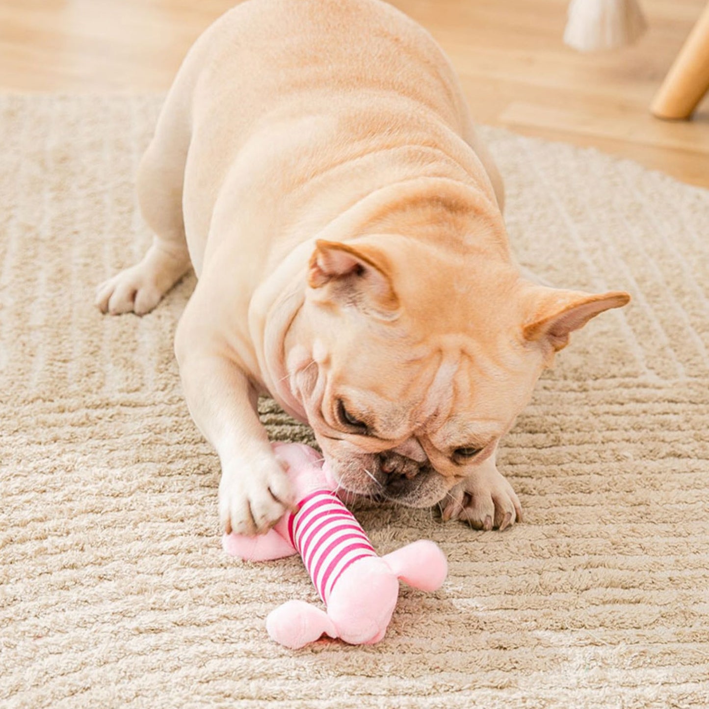 Squeaky Chew Toy For Dog