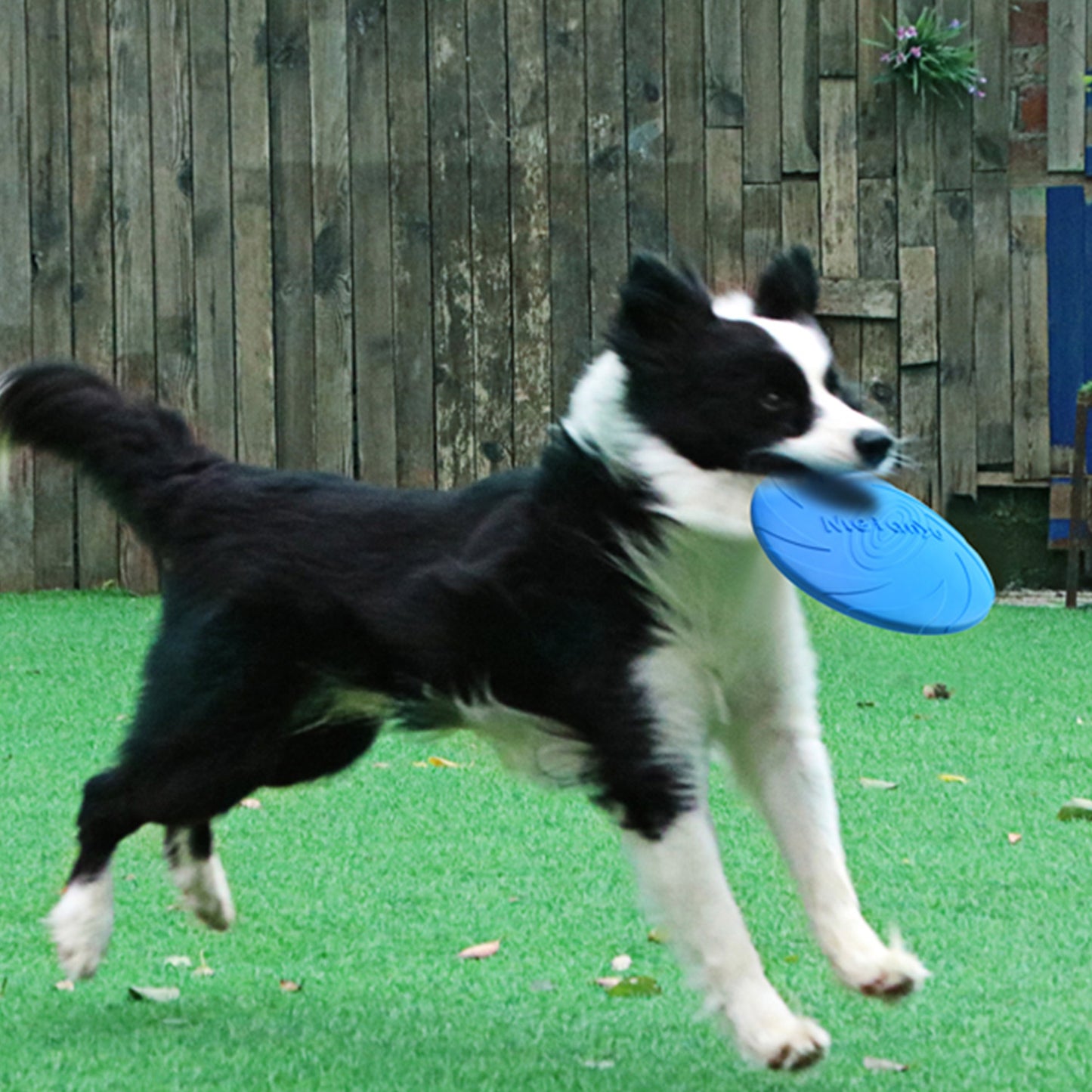 Bite Resistant Flying Disc Toys For Dog