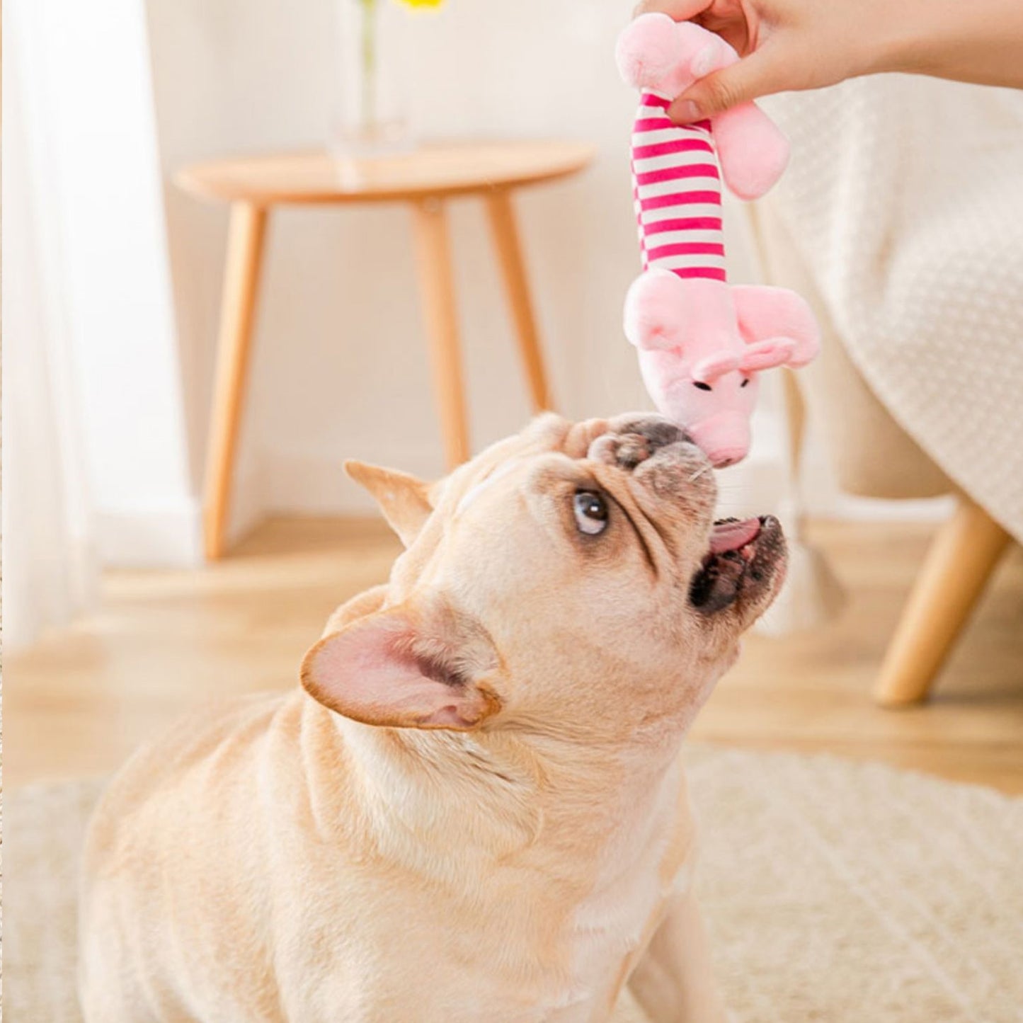 Squeaky Chew Toy For Dog