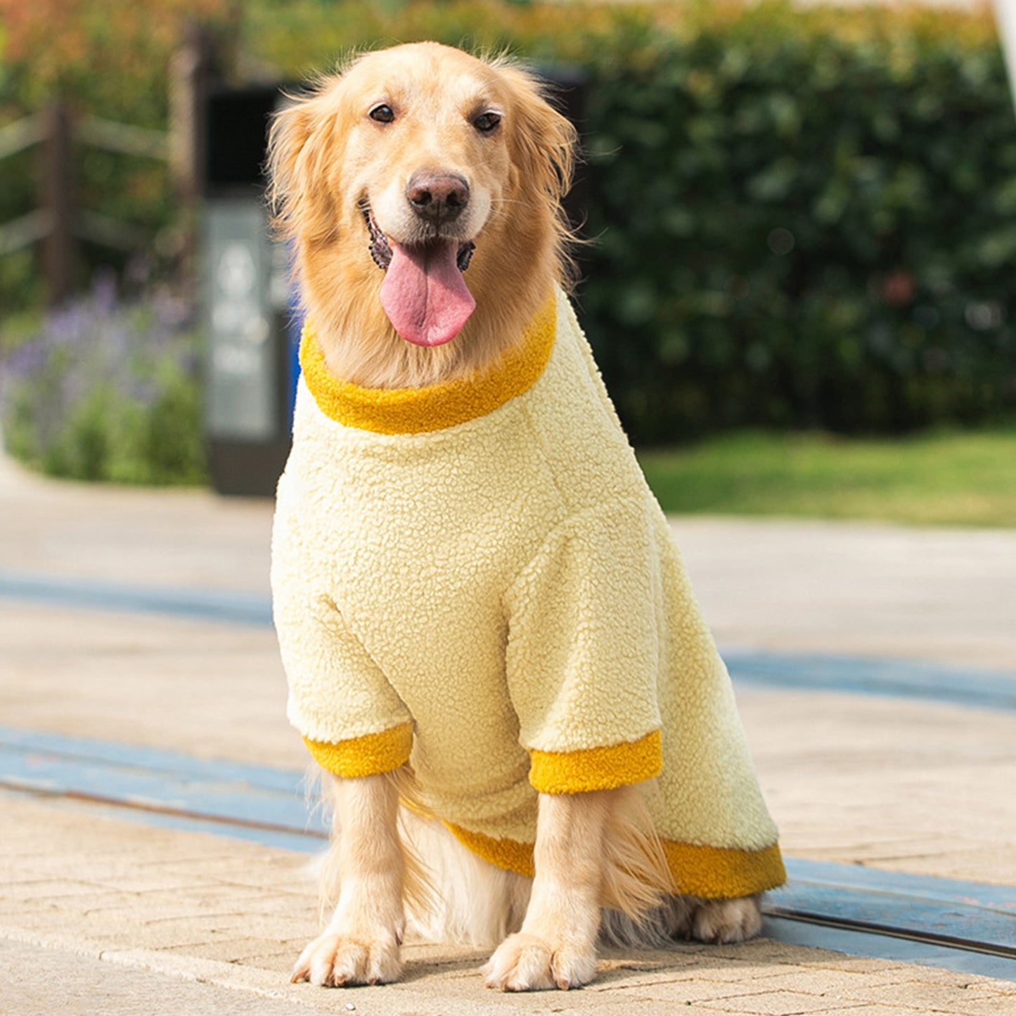 Dog Fleece Sweater - Pet Clothes - 3XL-8XL