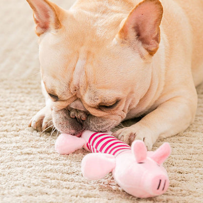 Squeaky Chew Toy For Dog