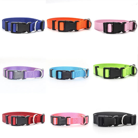 Nylon Collars For Dogs And Cats - XS-XL