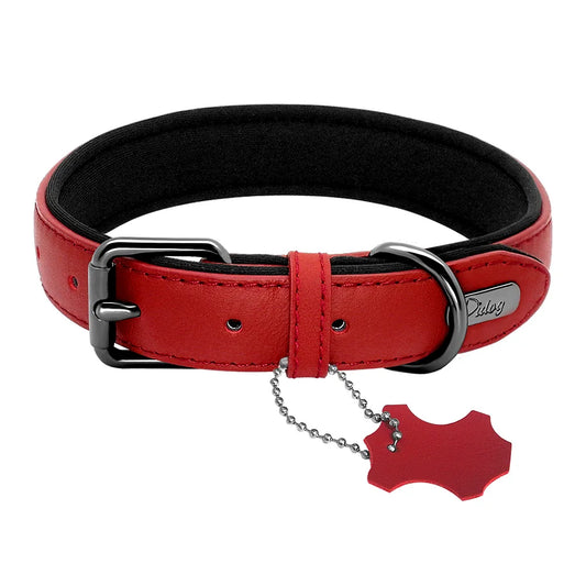 Leather Dog Collar - Pet Accessories