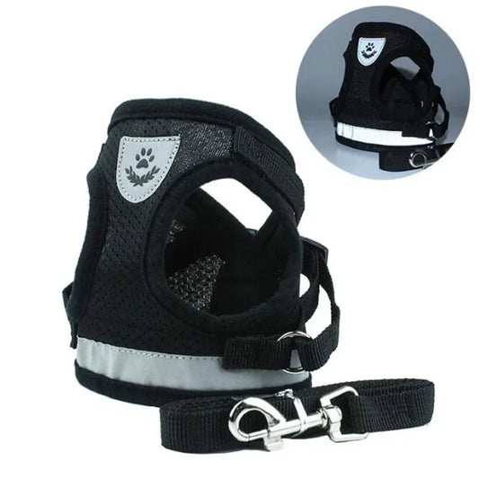 Dog & Cat Harness With Leash