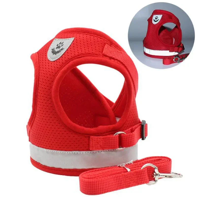 Dog & Cat Harness With Leash