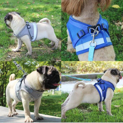 Dog & Cat Harness With Leash