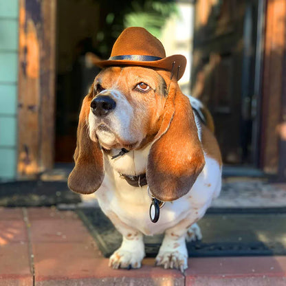 Cowboy Hat For Small Dogs And Cats