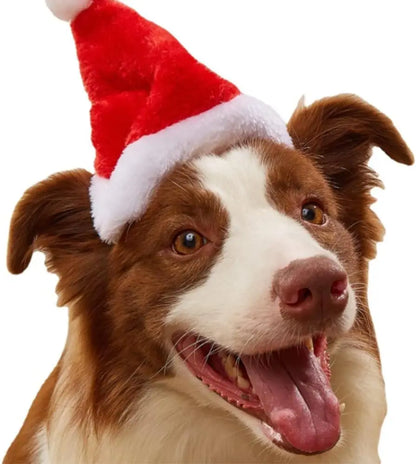 Pet Santa Hat For Puppy Kitten Small Cats & Dogs 10 Pcs