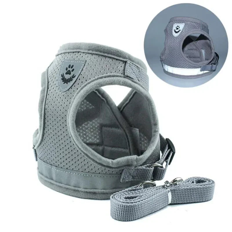 Dog & Cat Harness With Leash