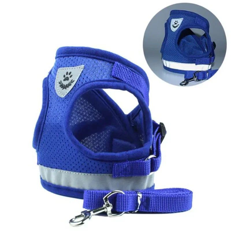 Dog & Cat Harness With Leash