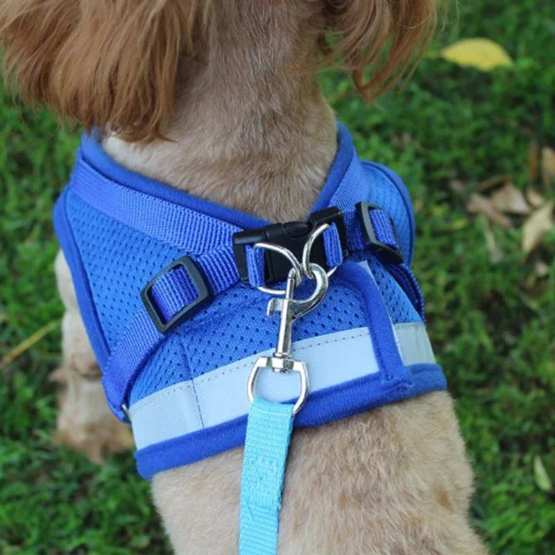 Dog & Cat Harness With Leash