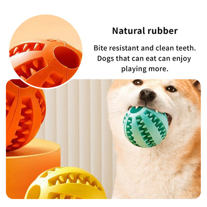 Dog & Cat Chew Toys - Tooth Clean Balls