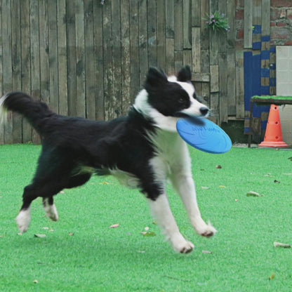 Bite Resistant Flying Disc Toys For Dog