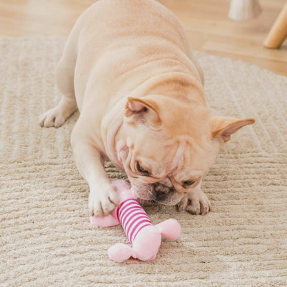 Squeaky Chew Toy For Dog